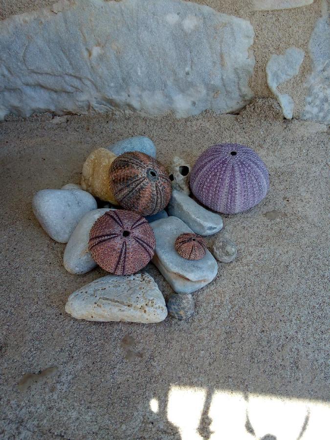 Amphitrite'S House Διαμέρισμα Νεόν Οίτιλον Εξωτερικό φωτογραφία